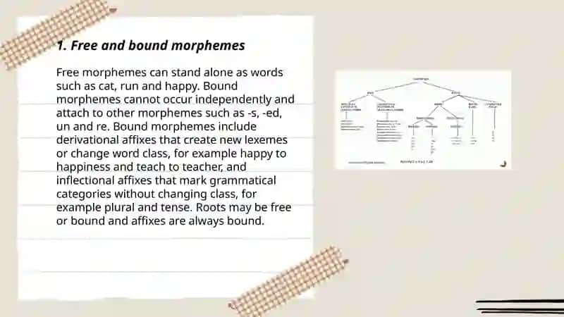 Morphological structure of English words 3