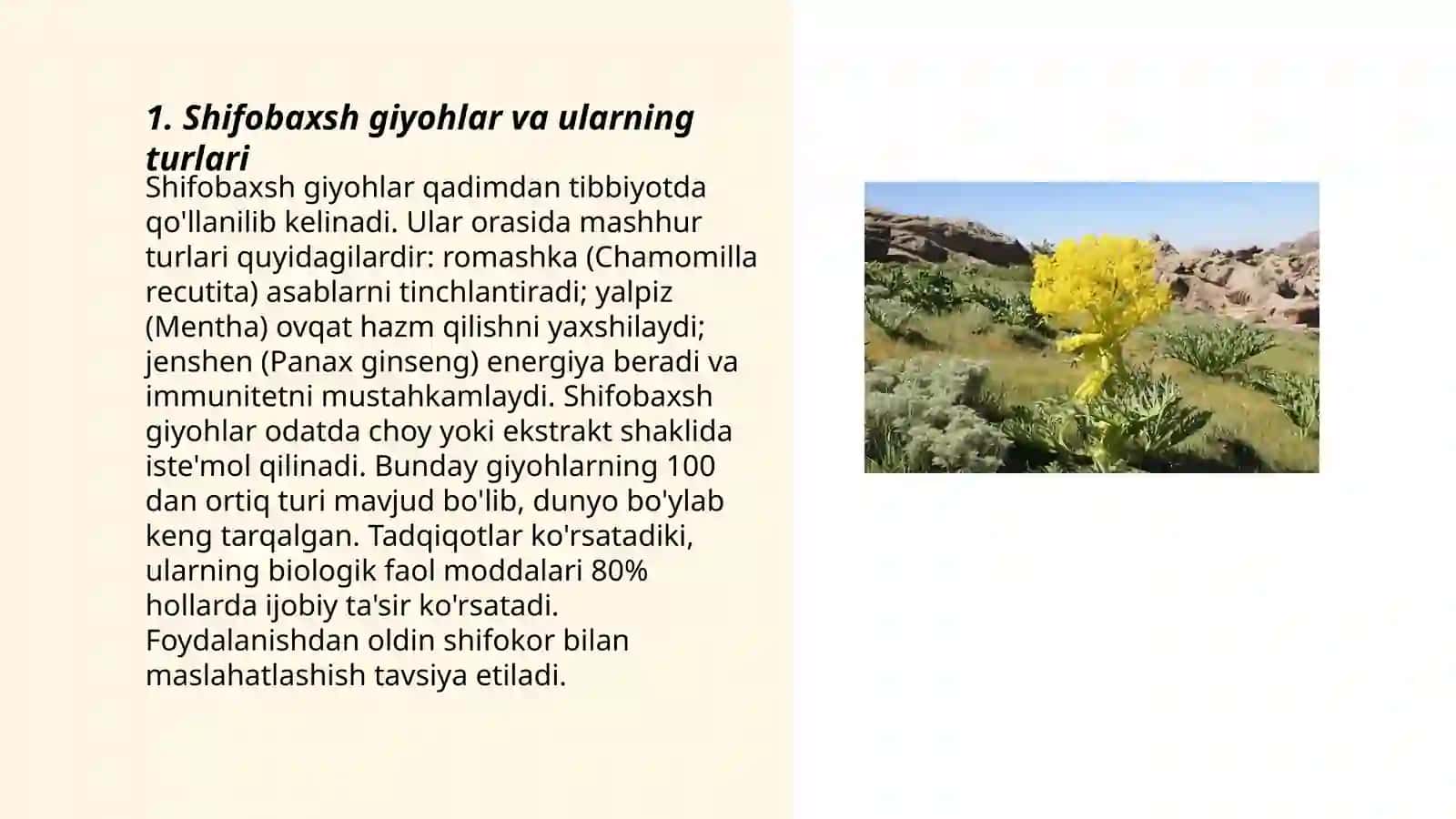 Shifobaxsh giyohlar va ularning turlari 3