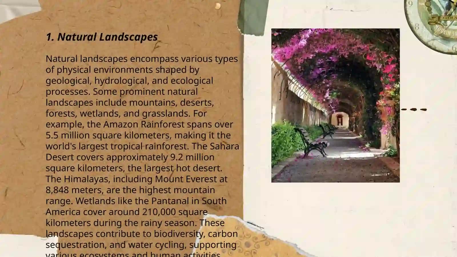 Natural Landscapes 3
