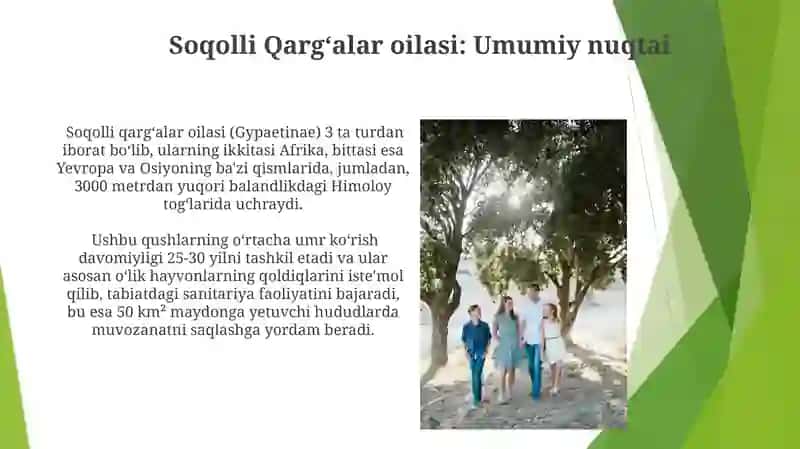 Soqolli Qargʻalar Oilasining Xulqi va Oziqlanishi 3