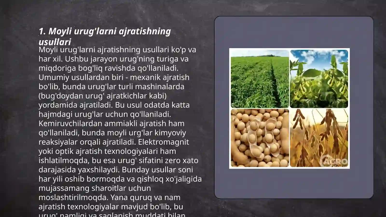 Moyli urug'larni chaqish mag'zini po'stloqdan ajratish va yanchishning texnika va texnalogiyasi 3