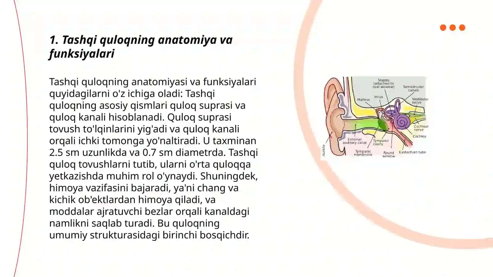 Tashqiquloq faoliyati va kasalliklari 3