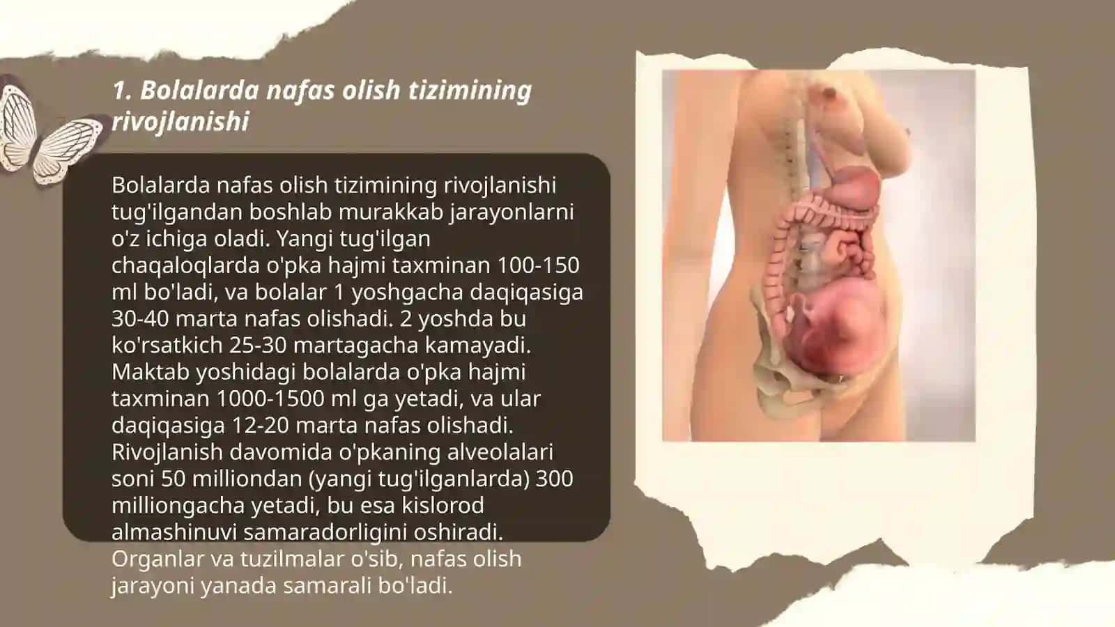 Bolalarda nafas olish va yurak-qon tomir tizimining anatomik-fiziologik xususiyatlari 3