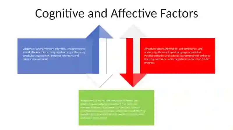 Assessment Of Acquired Knowledge Of A Foreign Language In Different Age Groups 3