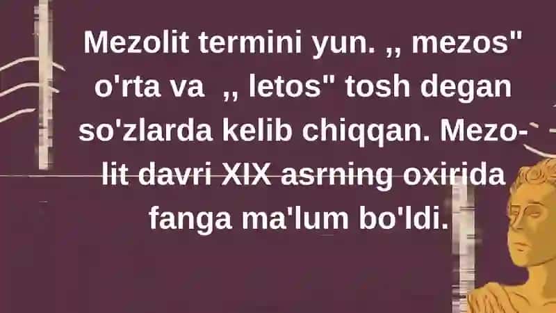 Mezolit davri 3