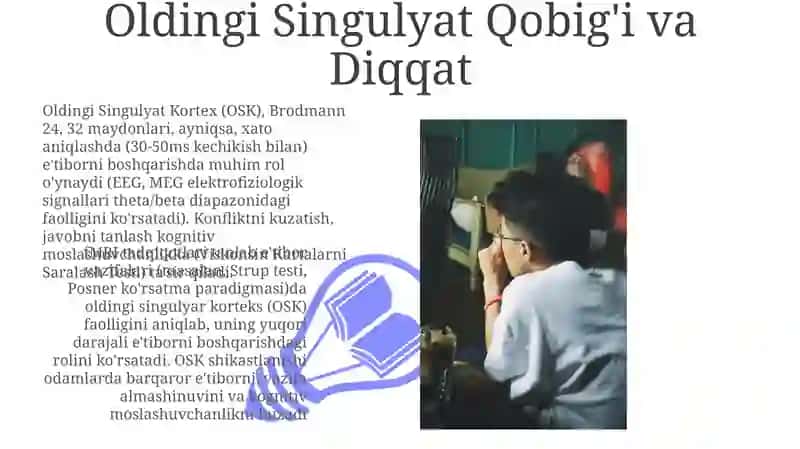 Diqqatning nerv fiziologik asoslari 3