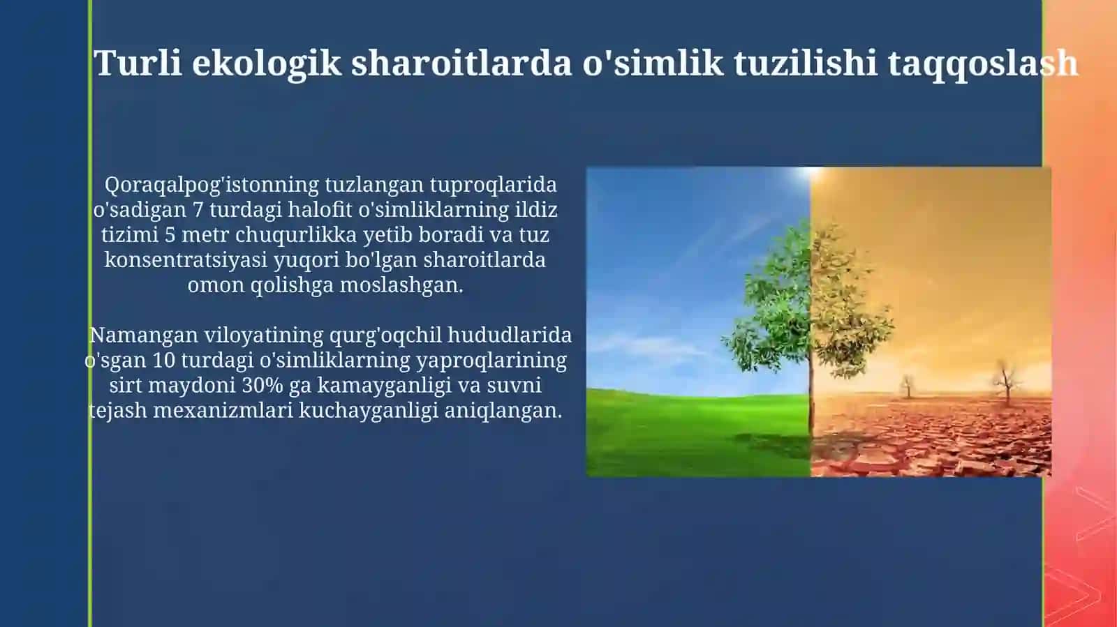 Loyxa ishi: Turli muhit sharoitida usgan õsimliklarning tuzulishini taqoslash 3