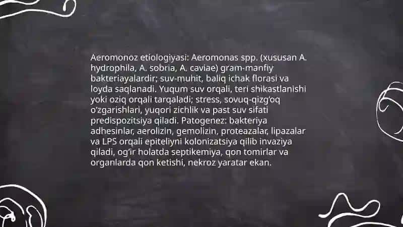 Baliqlarning aeromonoz va bronxiomikoz kasalligi 3
