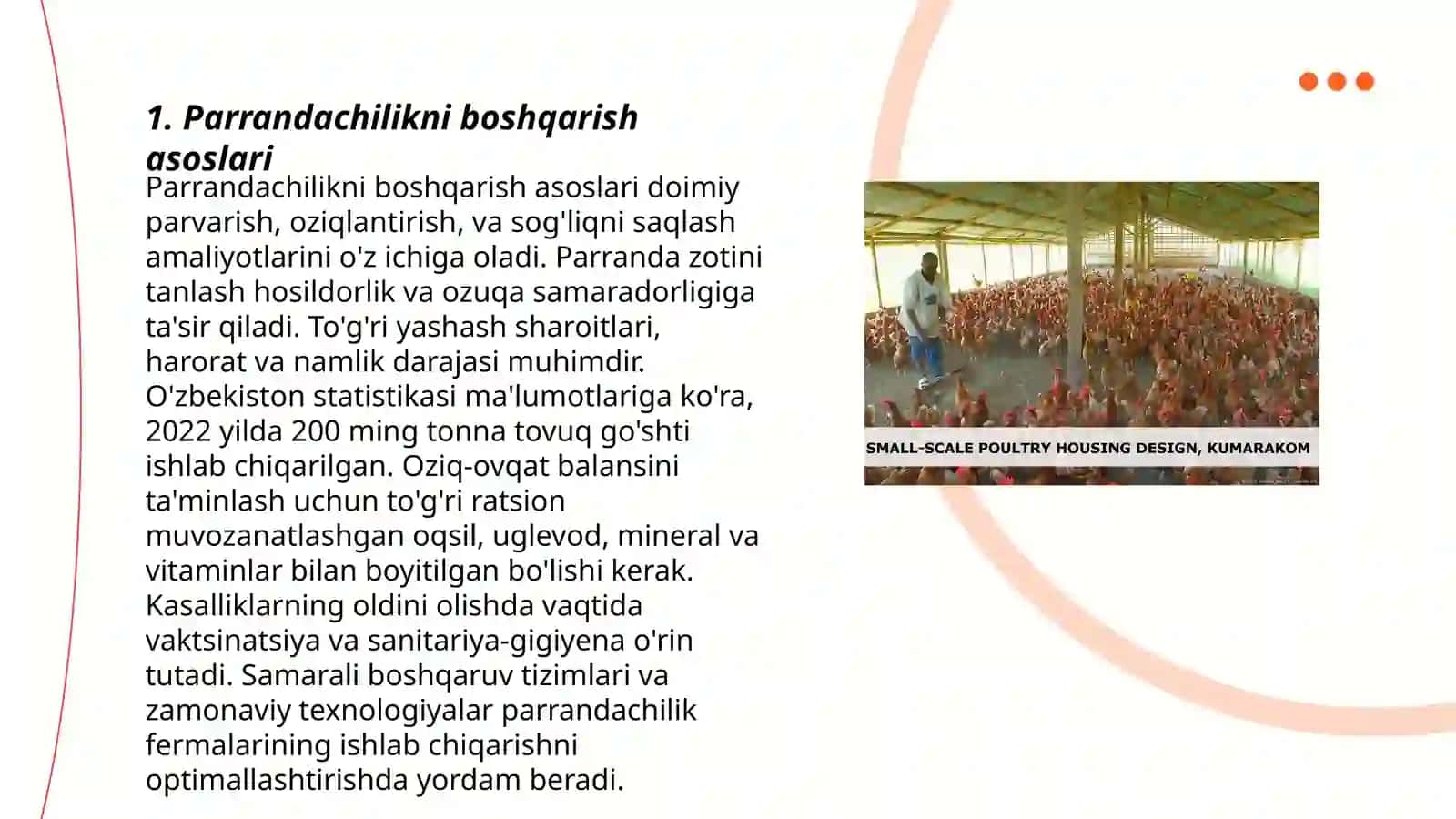 Parrandachilik (broyler) faoliyatini yoʻlga qoʻyish 3
