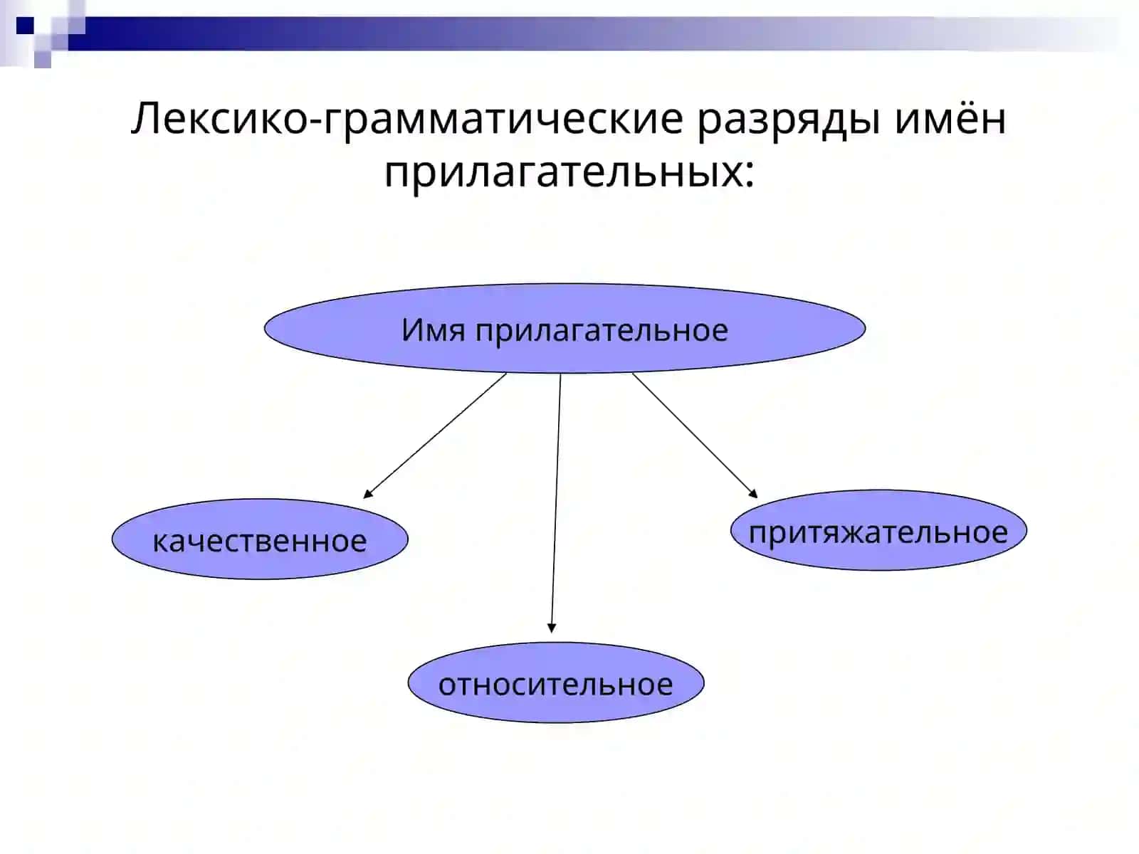 Фукциилексико-грамматических разрядов и словоформ прилагательных 3