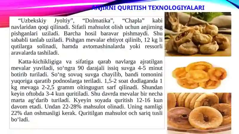 Subtropik mevalarni quritishning nazariyasoslari 3