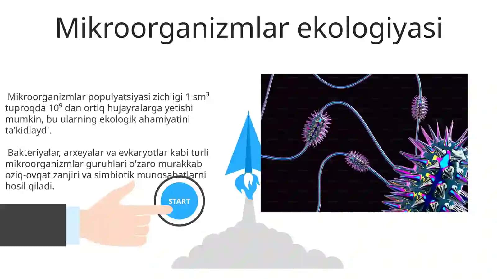 Mikroorganizmlarning sistematikasi va morfologiyasi fiziologiyasi 3