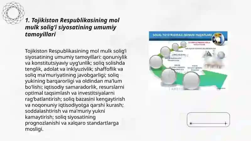 Tojikiston Respublikasining mol mulk soligʻi siyosati 3
