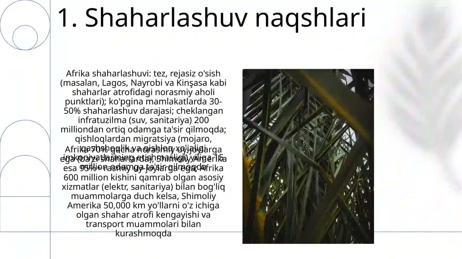 Afrika va Amerika qit'asining o'xshashliklari,farqlari 3