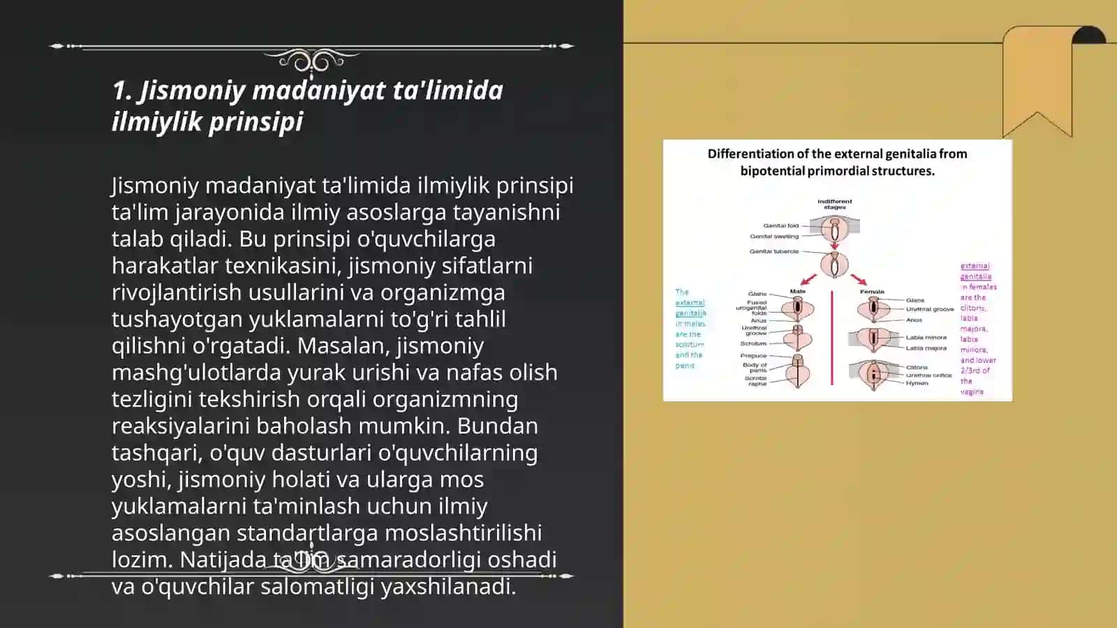 Jismoniy madaniyat ta'limi jarayonining uslubiy tamoillari (prinsiplari) 3