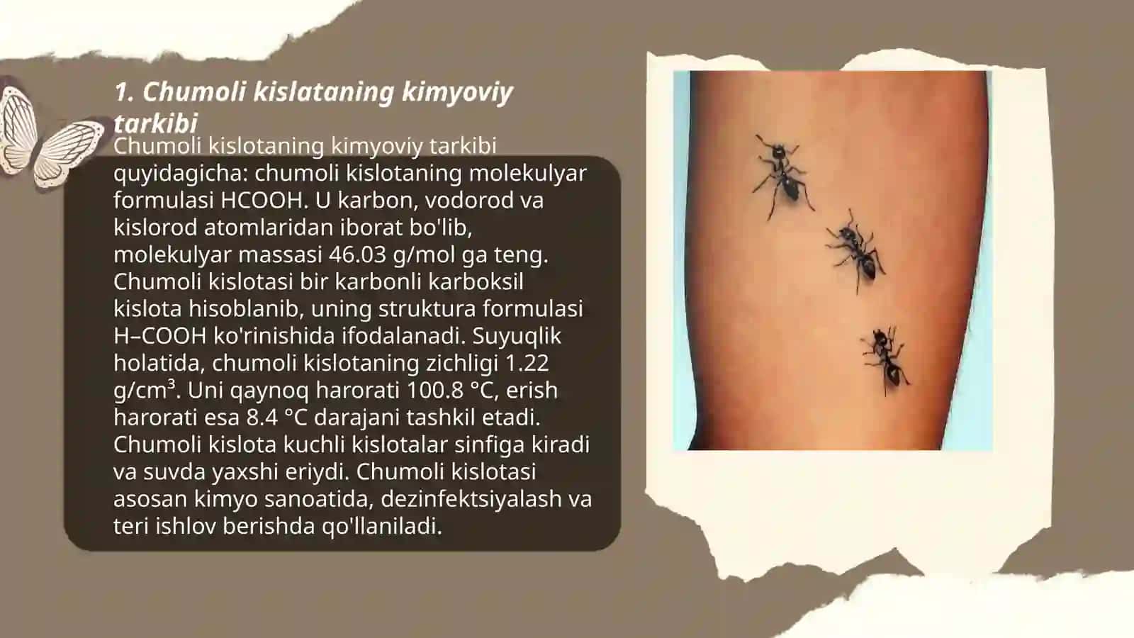 Chumoli kislata 3