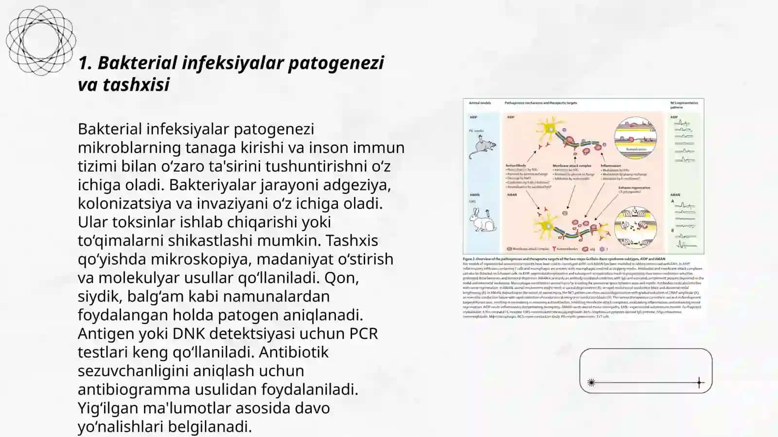 Pediatriya amaliyotida kup uchraydigan qo'zg'atuvchilari patogenezi va laboratoriya tashxisi 3
