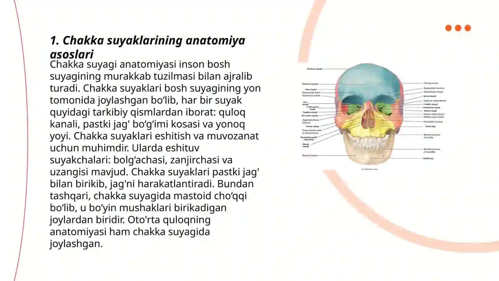 Chakka suyaklarining yoshga jinsga doir o'zgarish xususiyatlari 3