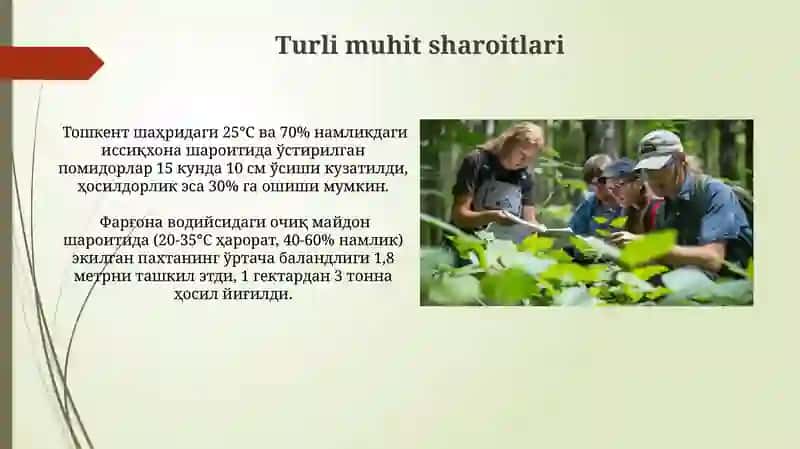 Turli Ekologik Sharoitlarda O'simliklarni O'rganish 3
