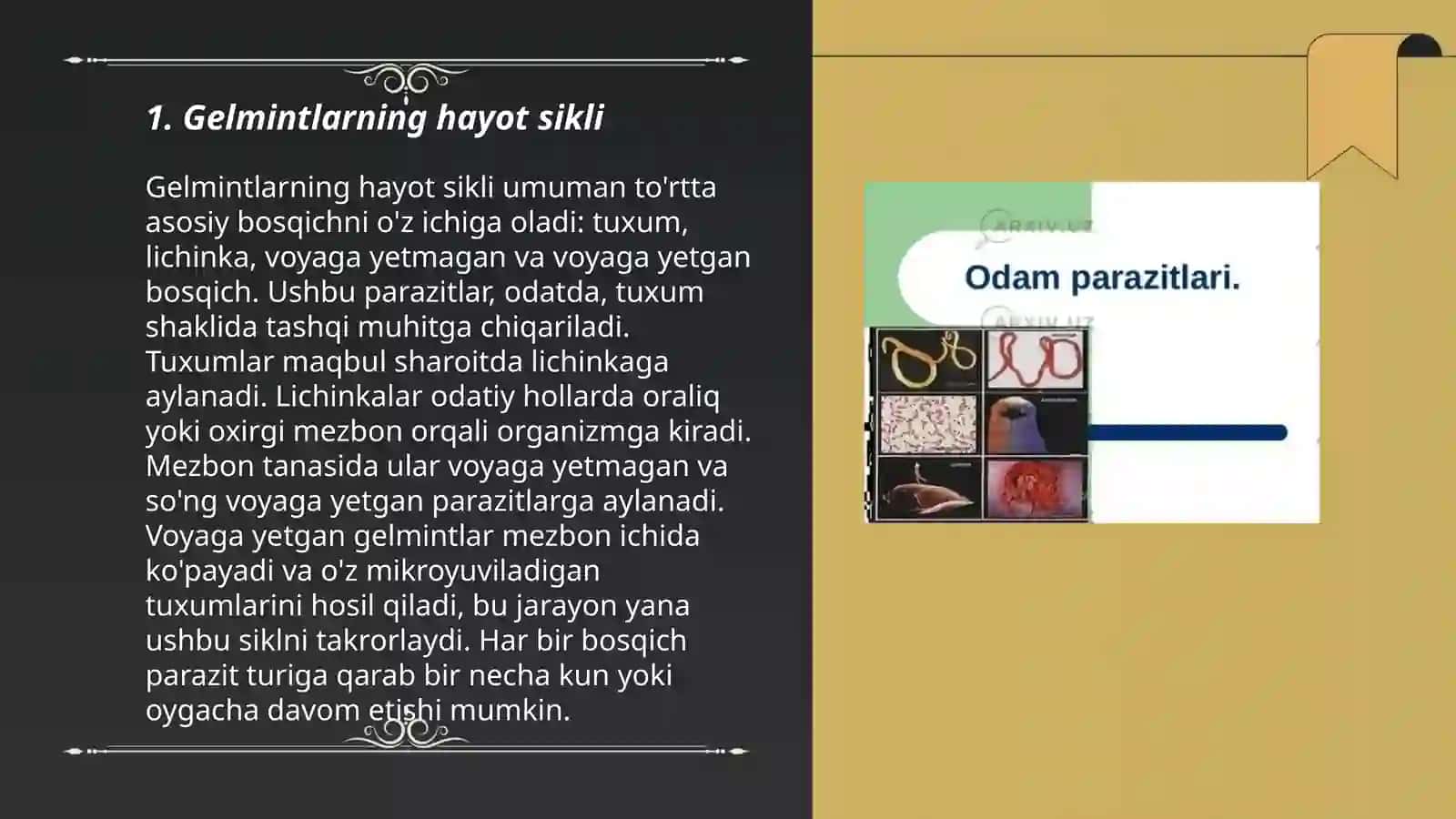 Gelmintlar-odam parazitlari 3