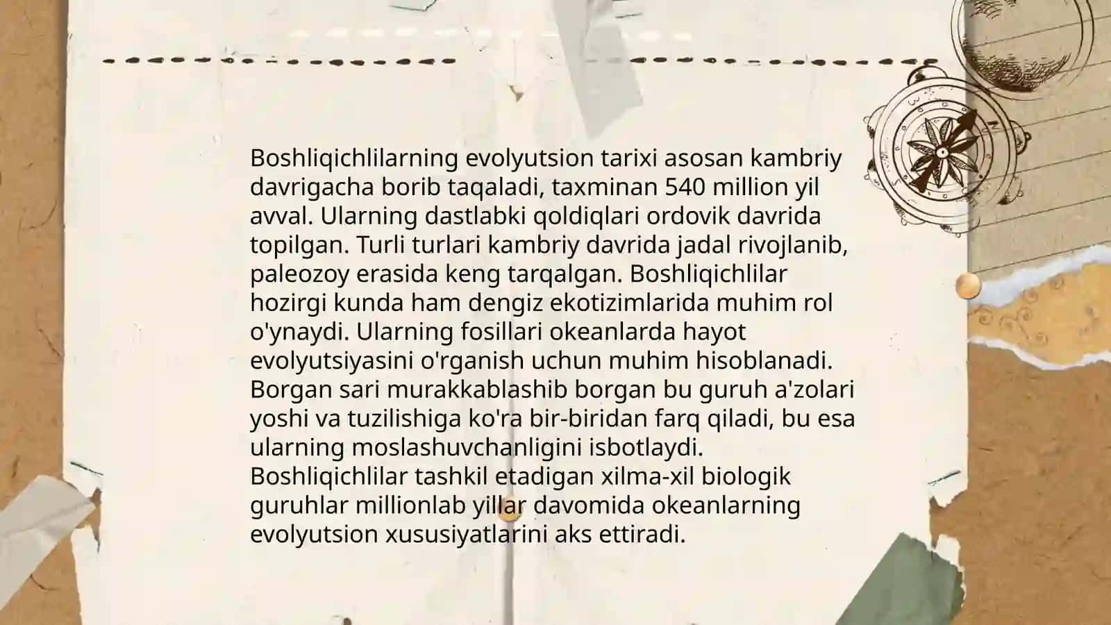 Boshliqichlilar va Taroqsimonlar filogeniyasi 3