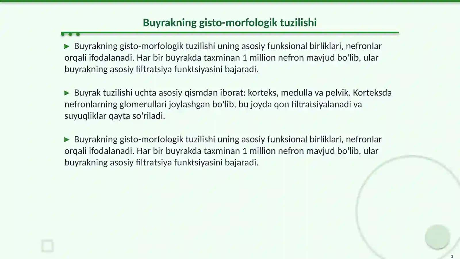 Buyrak va siydik pufagining gisto-morfologiyasi 3