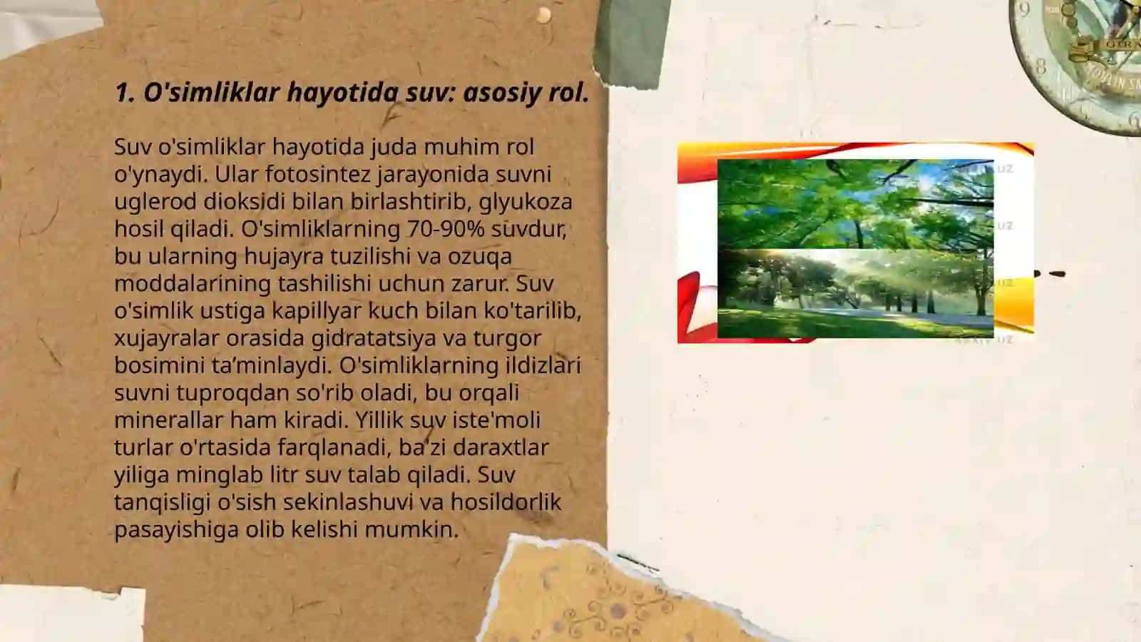 Ósimliklarda suvning ahamiyati 3