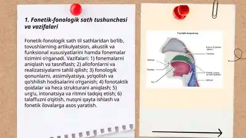 Til sathlari. Tilning Fonetik-fonologik sathi. Nutq jarayonidagi o‘zgarishlar. Fonetik hodisalar 3