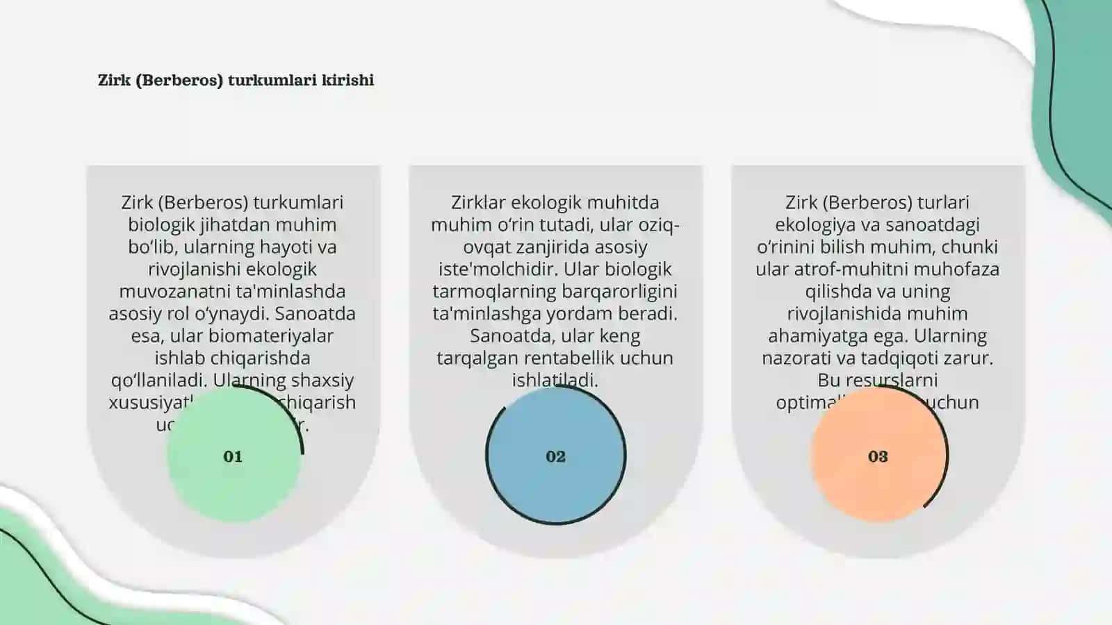 Zirk (Berberos) turkumlari biologiyasi, ekologiyasi va sanoatdagi o'rni 3