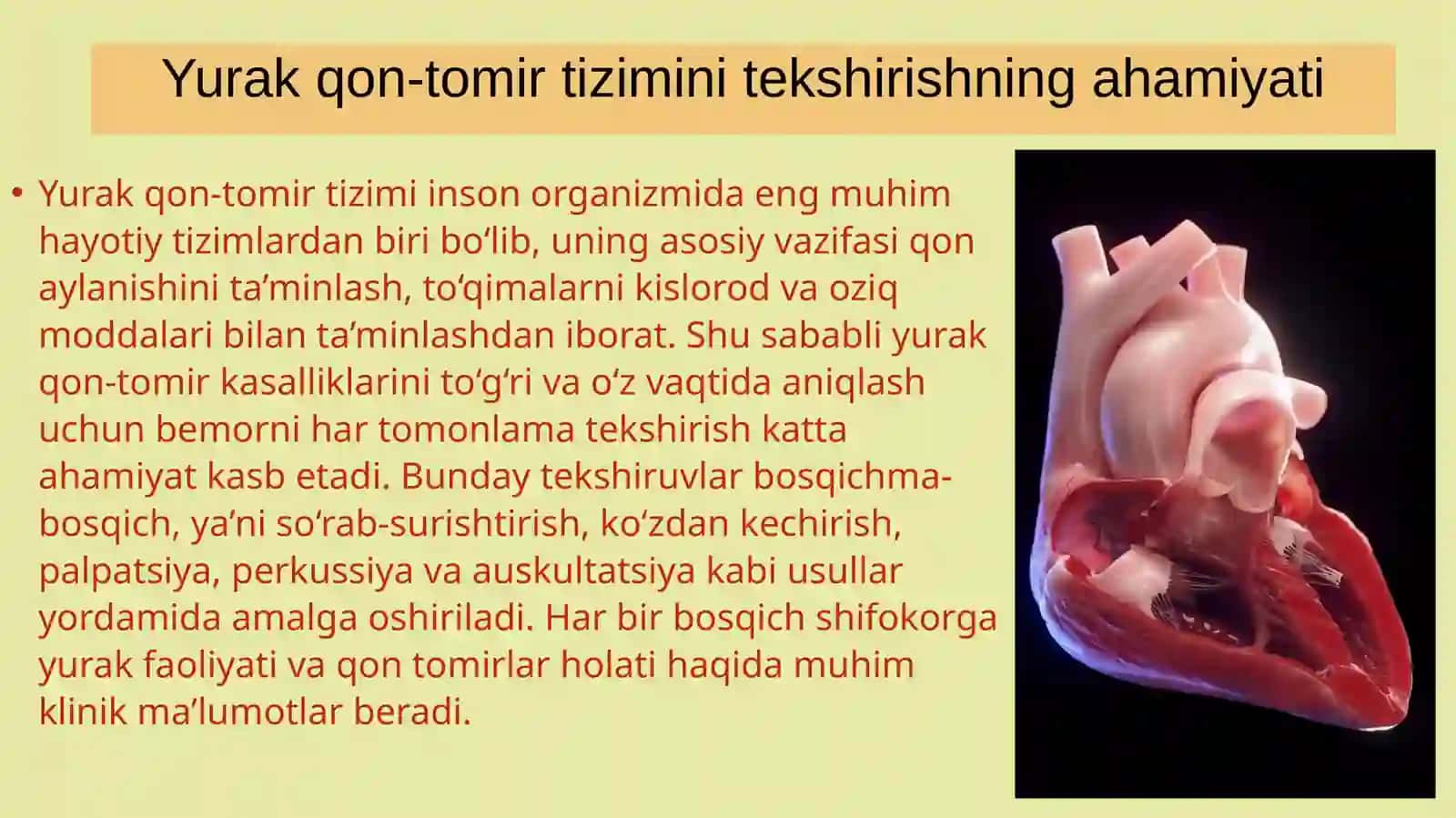 Yurak qon-tomir tizimi tekshirishning ahamiyati 3