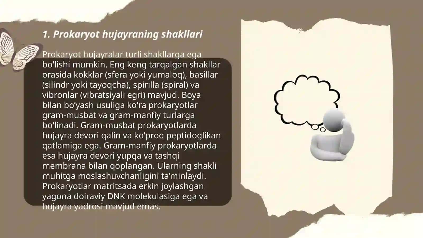 Prokariotlar morfologiyasi va hujayra tuzilishi Mukroorganizmlarni koʻpayishi va oʻsishi 3