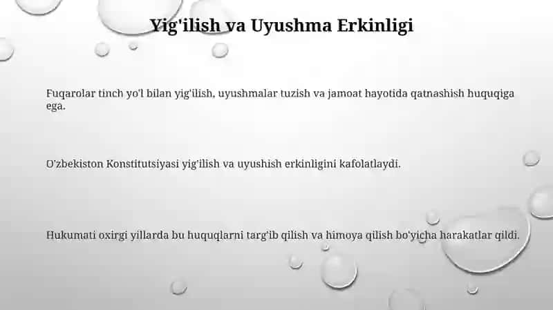 Yangi Oʻzbekistonda inson huquqlari va erkiliklari kafolatlari 3