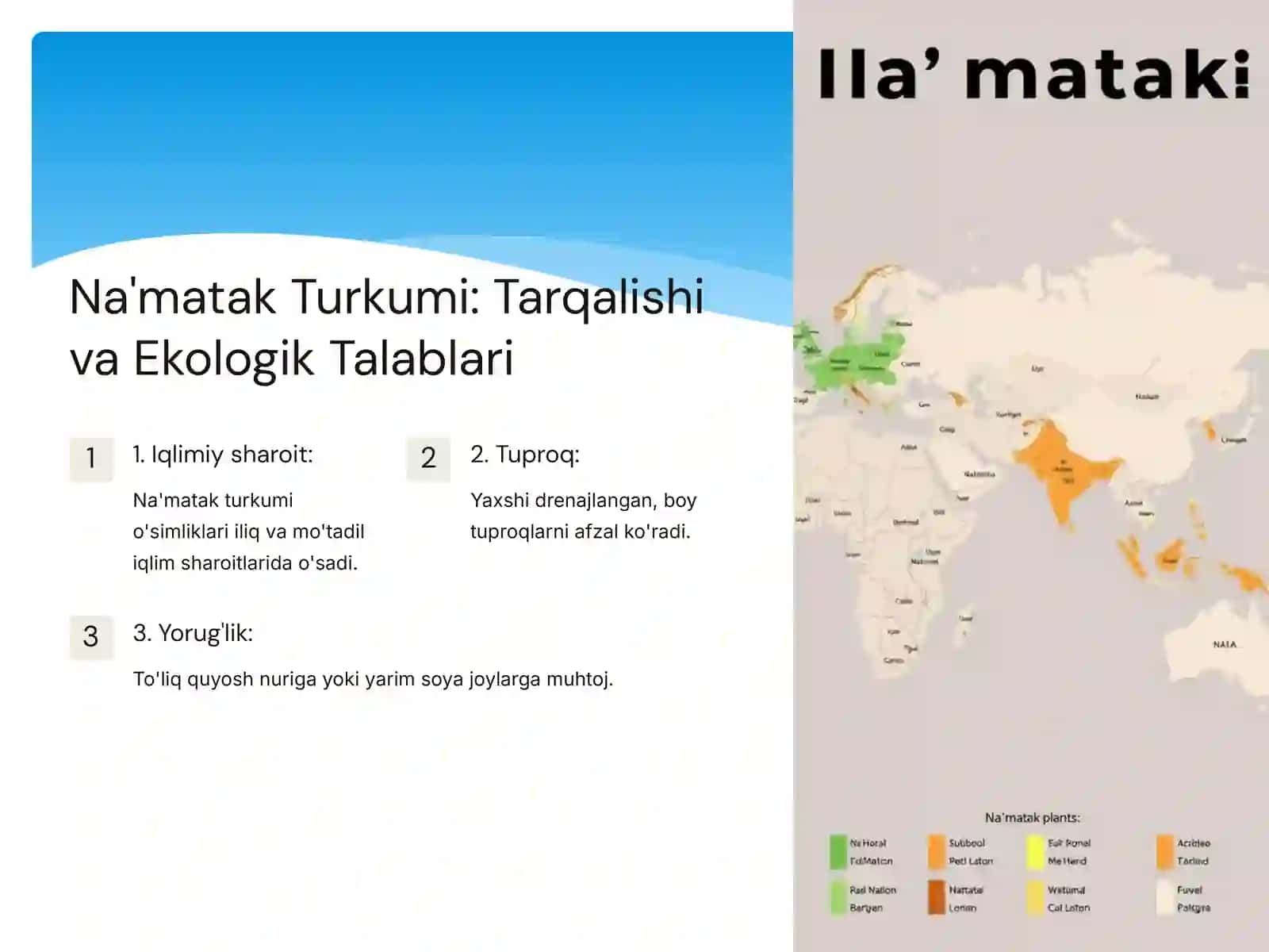 Na'matak Turkumi: Biologiya, Ekologiya va Farmasevtika Ahamiyati 3