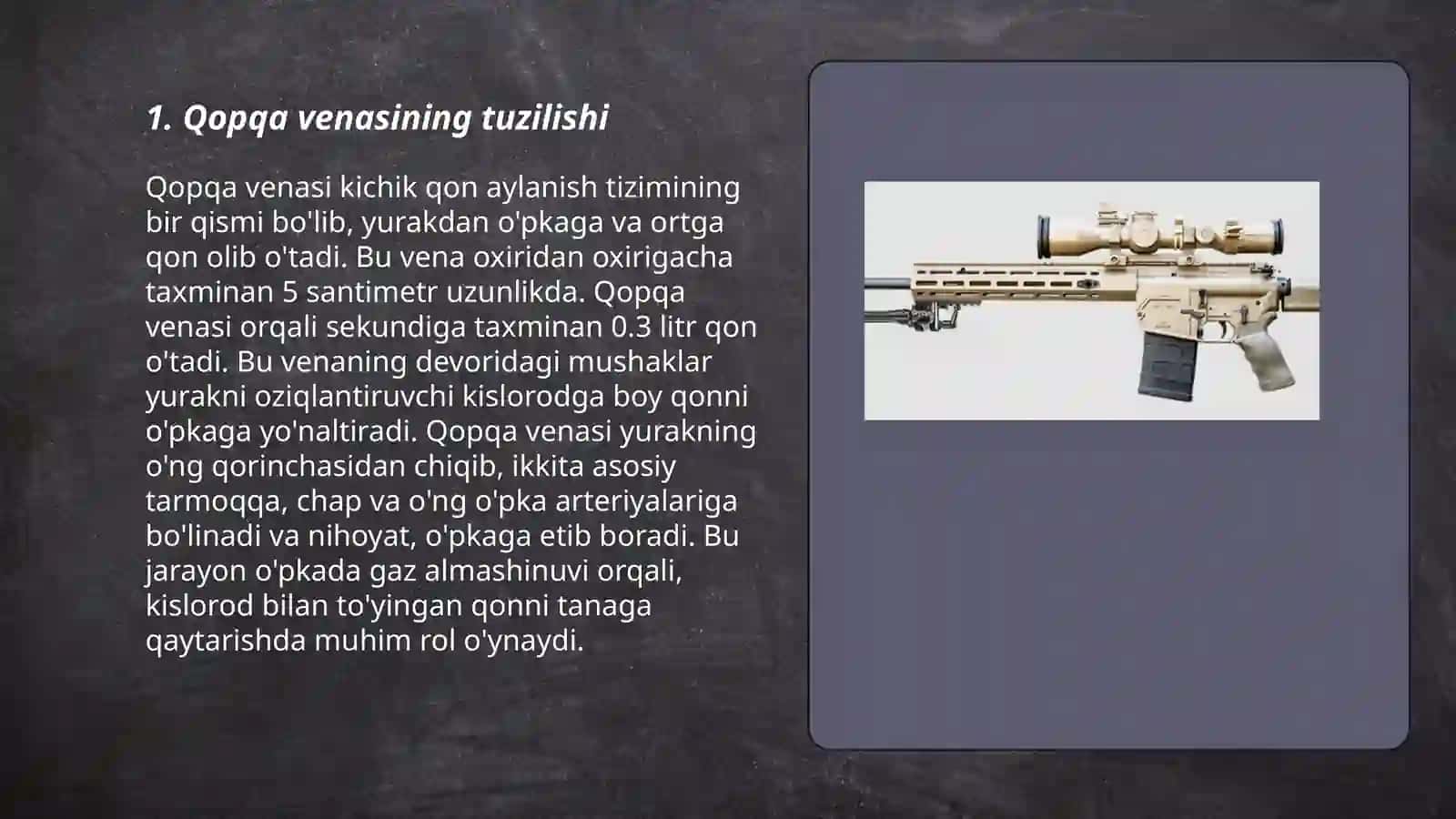 Qopqa venasi, uning xosil bolishi 3