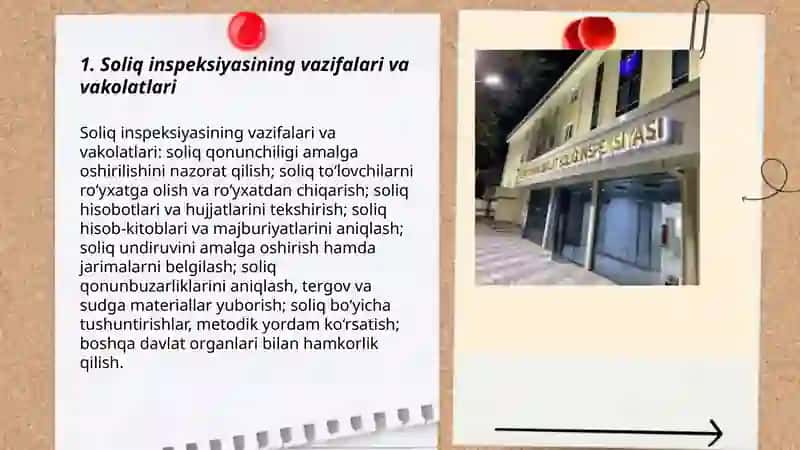 Soliq inspeksiyasi 3