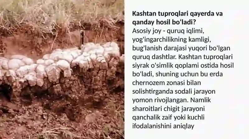 Kashtan 3