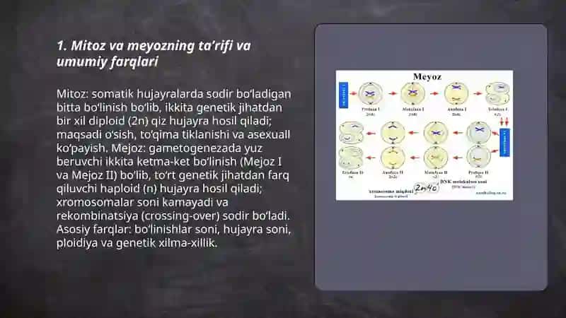 Mitoz va meyoz 3
