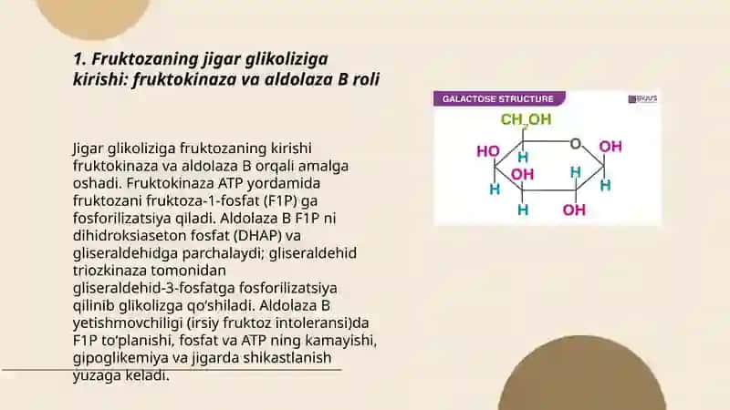 Fruktoza va galaktoza almashinuvi 3