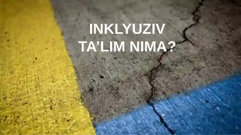 INKLYUZIV TA'LIM 3