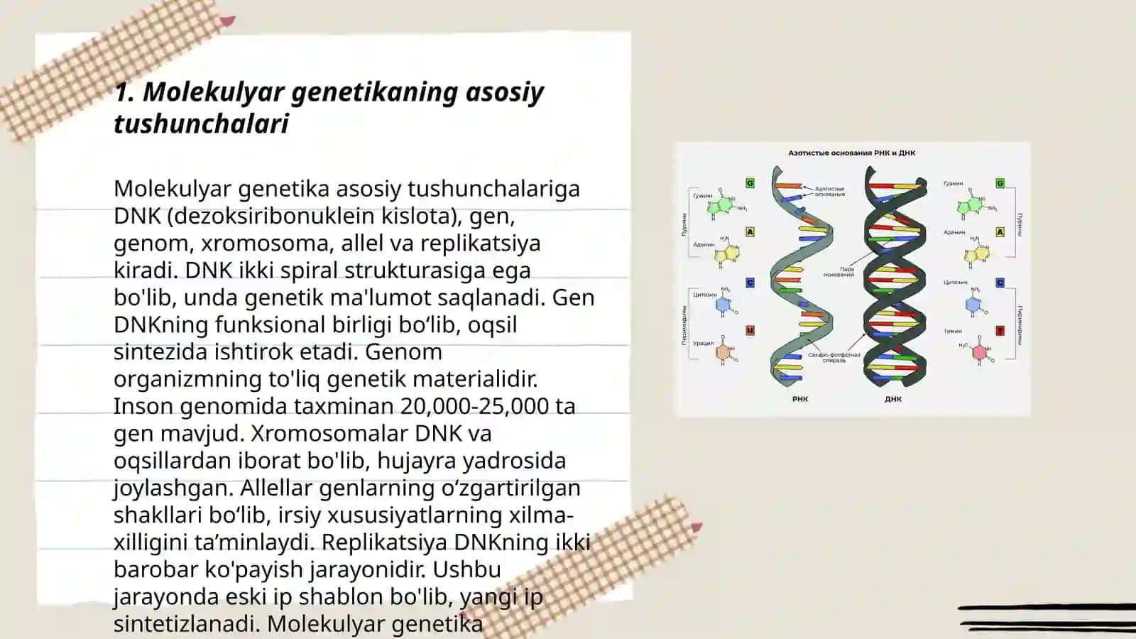 Molekulyar genetika.Molekulyar genetika aoslari. Nuklein kislotalar va ularning irsiy axborotni saqlash,uzatishdagi oʻrni.DNK ning oqsil biosintezidagi roli 3