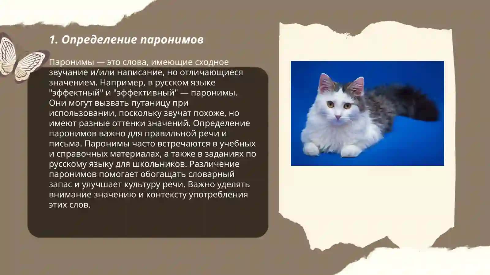 Паронимы в современном литературном языке 3