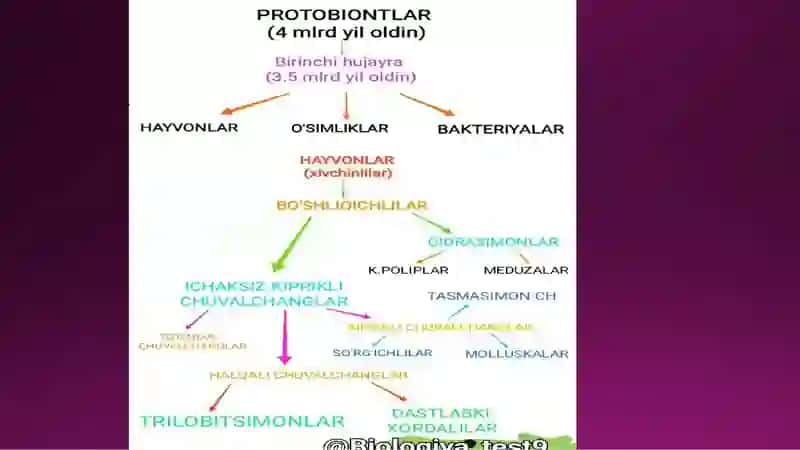 Hayvonot Dunyosidagi Evolutision O'zgarishlar 3