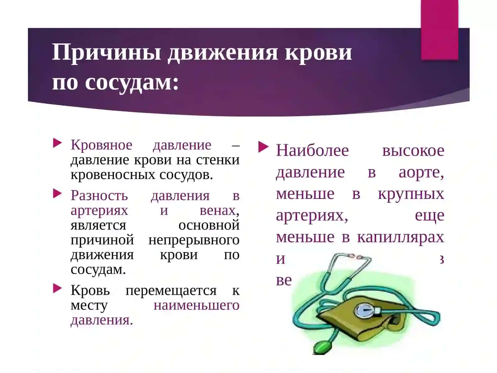 Движение крови по сосудам. Регуляция кровоснабжения 3