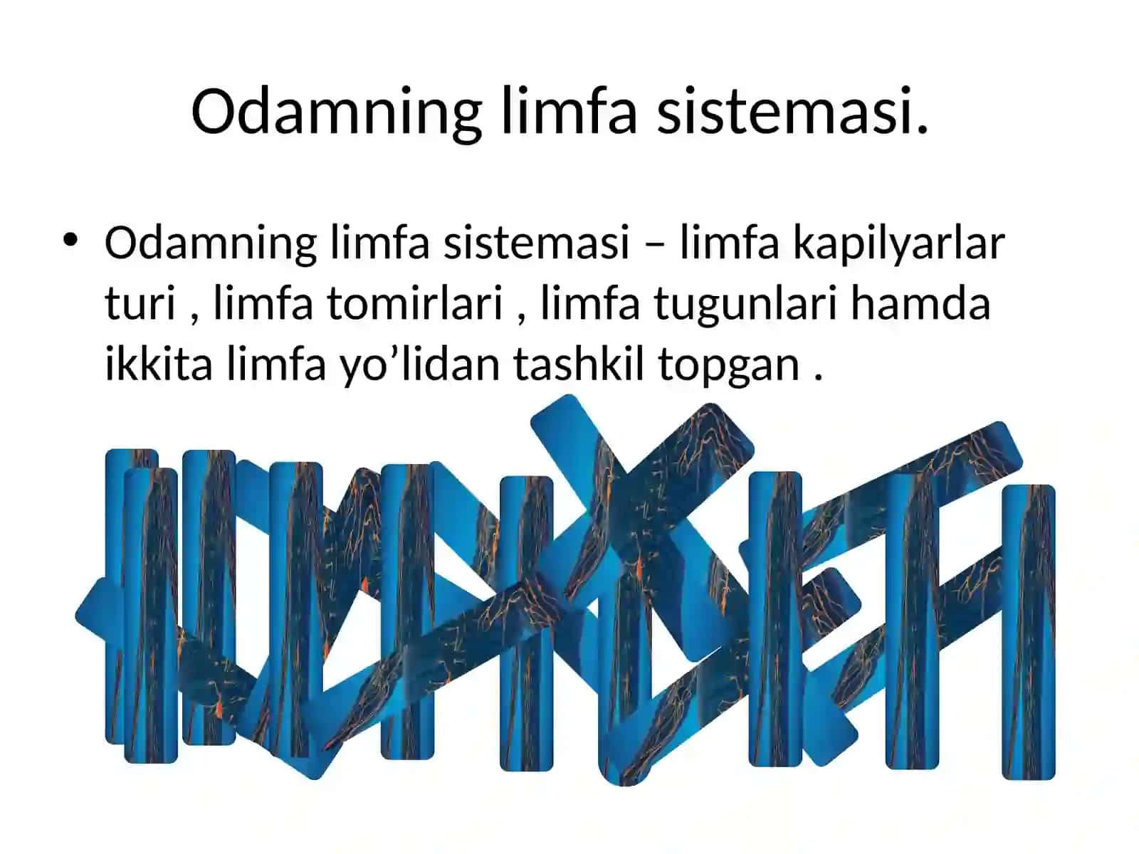 Limfa tugunlarining Anatomo fiziologik tuzulishi 3