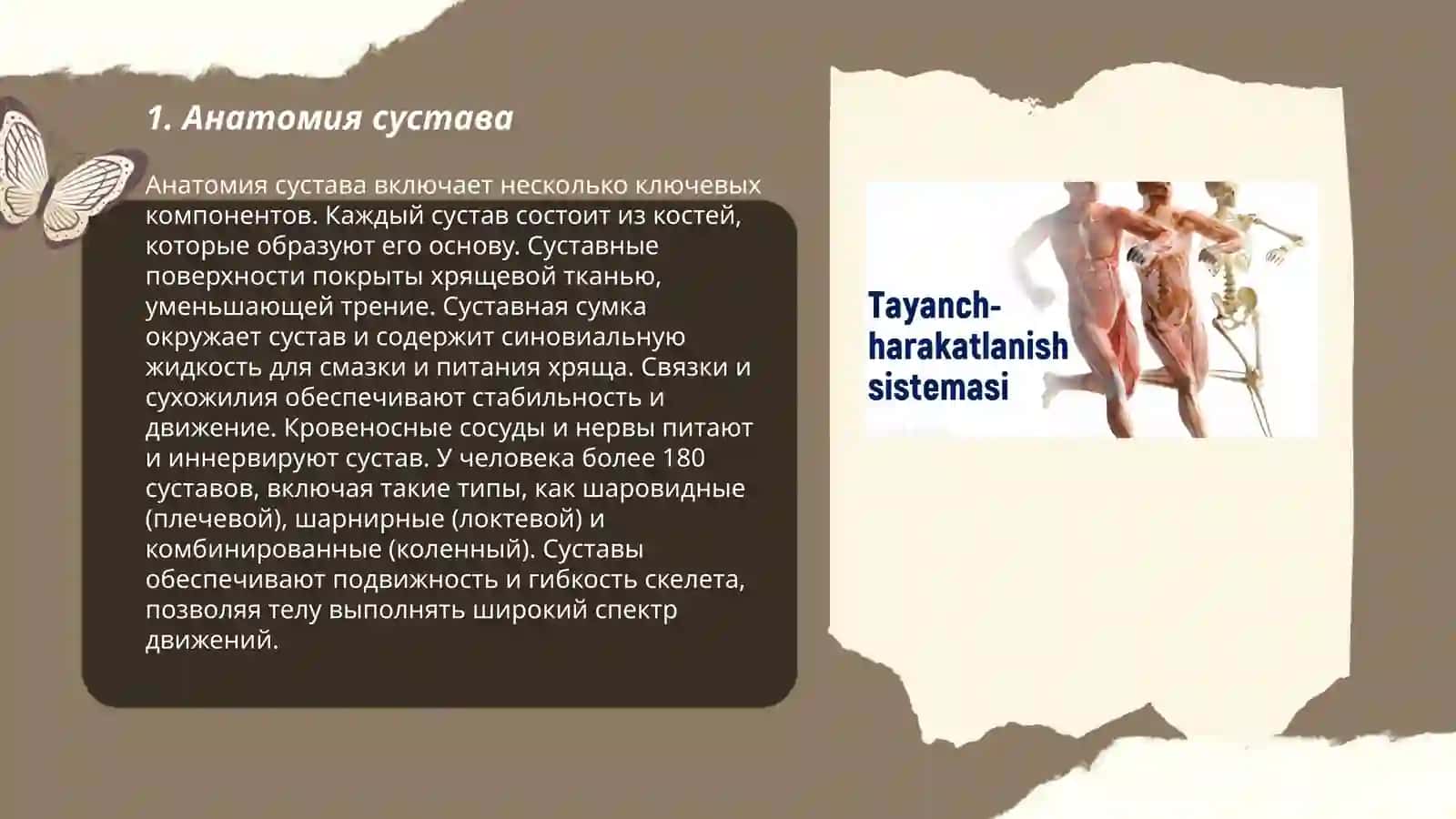 Suyaklarning tuzulishi 3