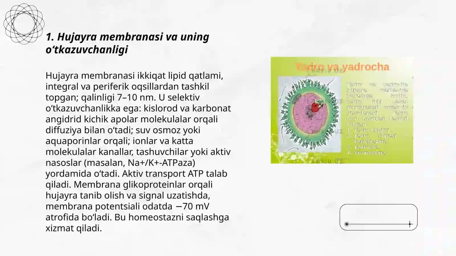 Hujayrada moddalar almashinuvi 3