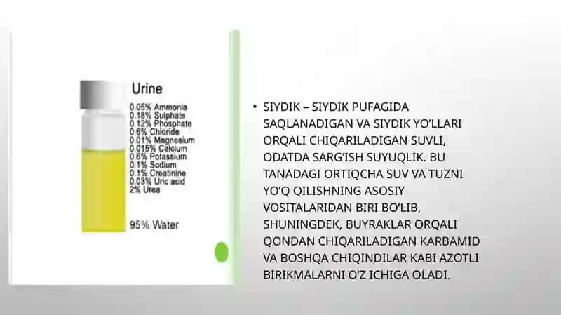 Siydik tahlili taqdimot 3