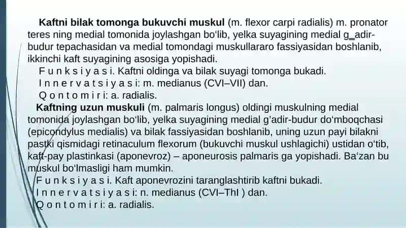 Kaftning uzun muskuli (m. palmaris longus) 3