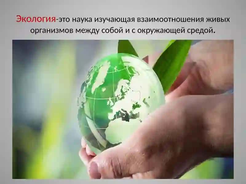Понятие об экологии 3
