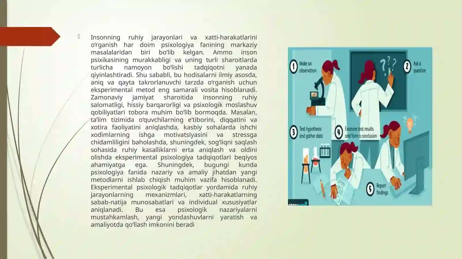 Eksperimental psixologik jarayonlari bosqichlari 3